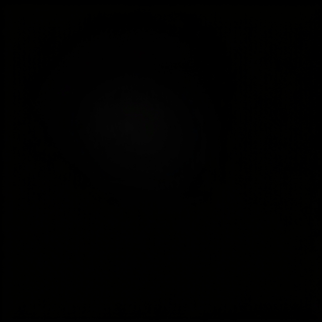 یک تصویر خفن سیا و مشکی گلی5